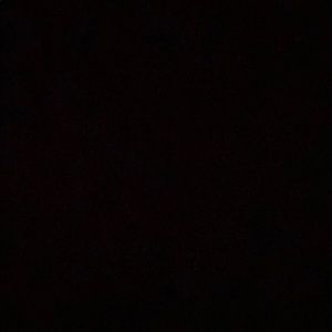 Meet your Posher, Davina